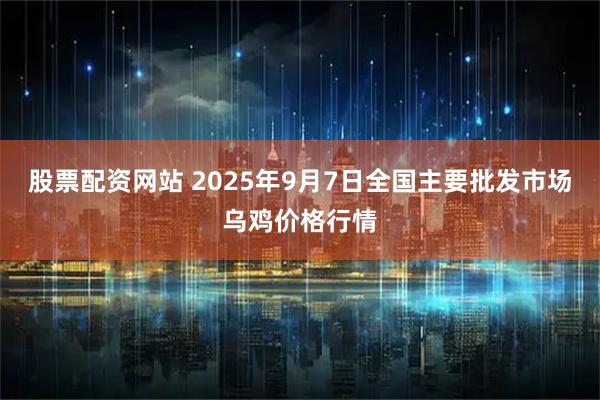 股票配资网站 2025年9月7日全国主要批发市场乌鸡价格行情