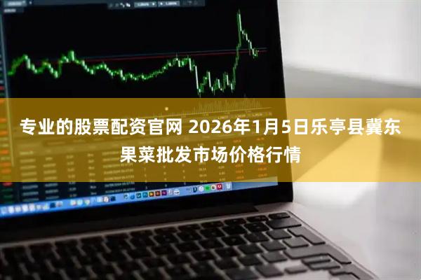专业的股票配资官网 2026年1月5日乐亭县冀东果菜批发市场价格行情